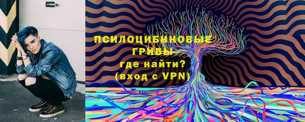 хмурый Алексин