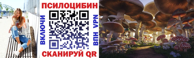 Галлюциногенные грибы Cubensis продажа наркотиков Белоярский